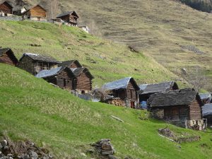 Germanionico vista di sbieco