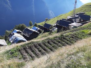 Orto a Germanionico