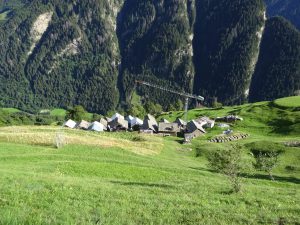 Germanionico vista da dietro/sopra