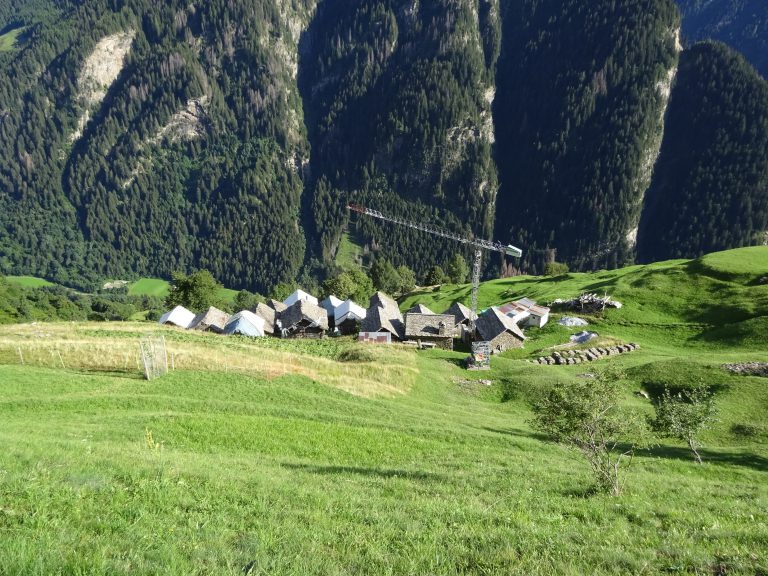 Germanionico vista da dietro/sopra