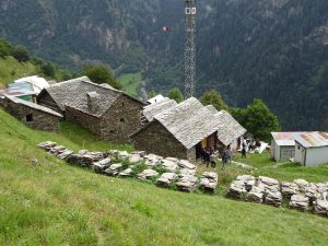 Visita a Germanionico