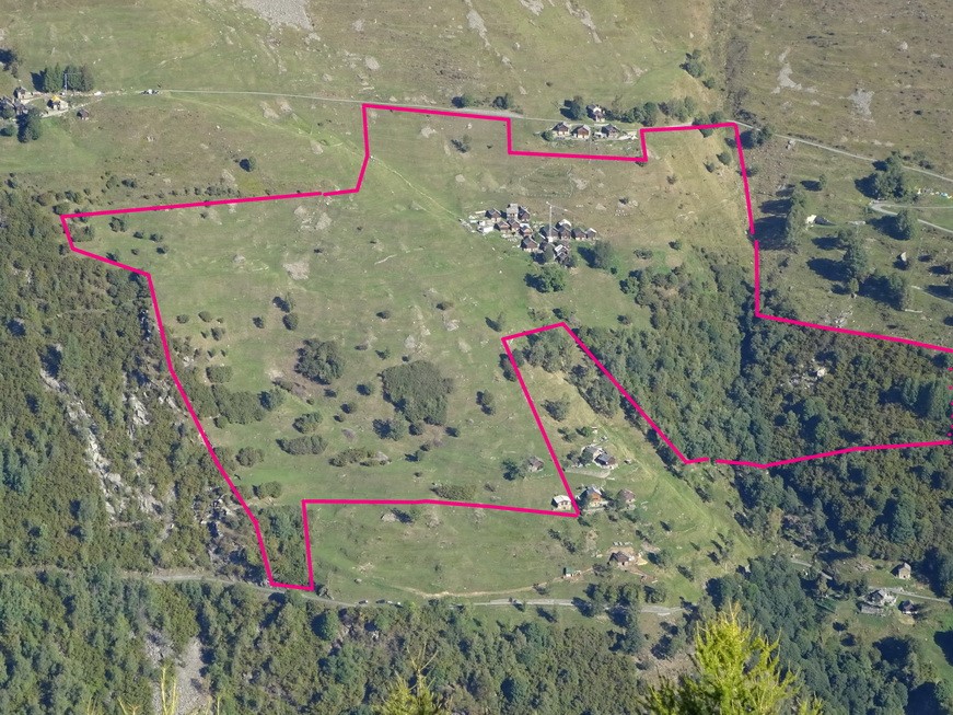 Territorio