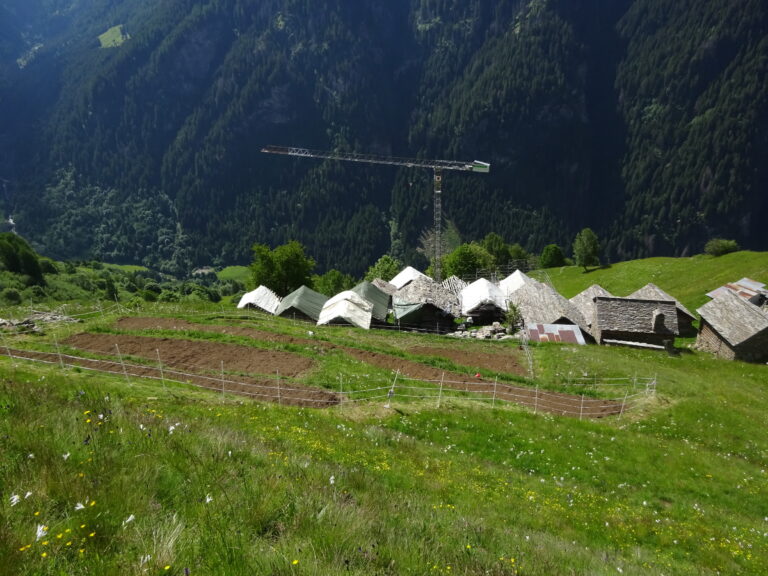 Campi coltivati a Germanionico