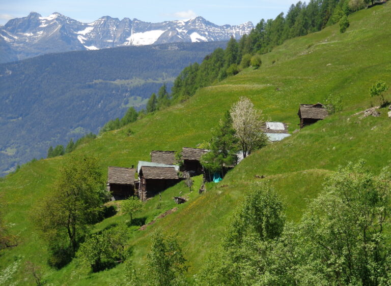 Paesaggio - Germanionico