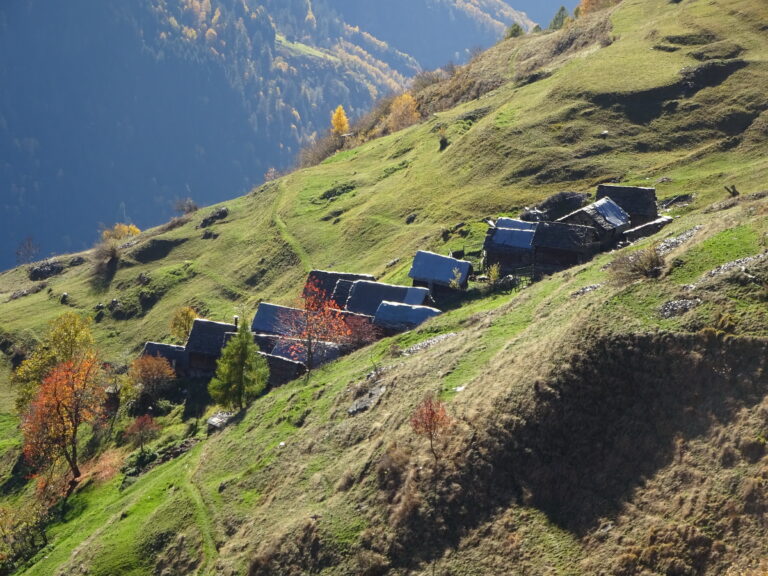 Paesaggio - Germanionico