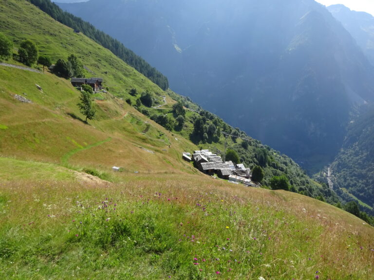 Prati sopra Germanionico
